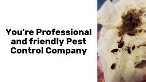 A common invader of homes, carpenter ants are destructive pests first noticed as winged reproductive swarmers in late spring and early. Pest Control Clarksville Tennessee Paris Tennessee Causeys Pest Control