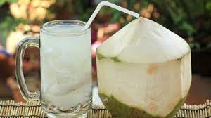 Air kelapa merupakan minuman isotonik alami yang memberi banyak manfaat seperti minuman olahraga yang telah diformulasi. Apakah Penderita Diabetes Aman Minum Air Kelapa Muda Tribun Jogja