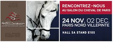 » terrible nouvelle pour ce salon qui décidément depuis une dizaine d'années. Promo Offer Contest Game Come And Meet Us At The 2018 Paris Horse Show