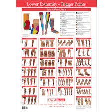 Trigger Point Charts 5 Chart Set Trigger Points Trigger