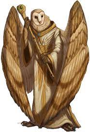 Barn Owl Png Images Free Png Library Barn Owl Owl Png Animated Clipart