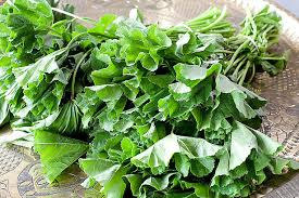 האם אוכל לבצע בדיקת קורונה? ×¢×©×'×™× ×©×•×˜×™× 5 ×ž×ª×›×•× ×™ ×¦×ž×—×™ ×'×¨