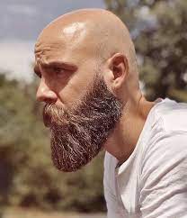 Sharp Beard Nicely Cropped Bald Head With Beard Beard Styles Bald Bald With Beard