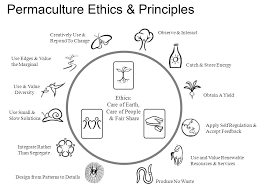 Permaculture Ethics Design Principles From Permaculture Principles Pathways Beyond Sustainability By David Holmgren Ppt Download