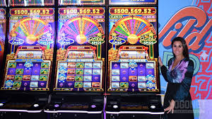 IGT: "The core DNA of Wheel of Fortune still resonates with players and  fuels the game family's continued relevance" | Yogonet International