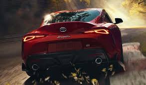 Image result for Coptosperma supra-axillare