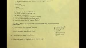 Do all plant cells carry out photosynthesis. What Does The Plant Need In Order To Carry Out Chegg Com