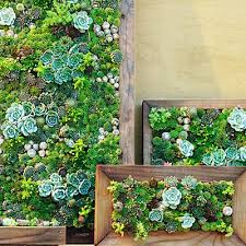Vertical gardening is perfect indoors or out! Our Home Aspires To Have A Garden Like This Succulent Wall Planter Vertical Succulent Gardens Garden Projects