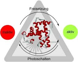 We did not find results for: Biologisch Aktive Molekule Mit Lichtschalter Mayer 2006 Angewandte Chemie Wiley Online Library