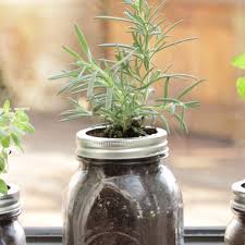 Linda Mand (lrmcom1)