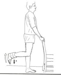 Image result for knee flexion in an open-chain exercise.