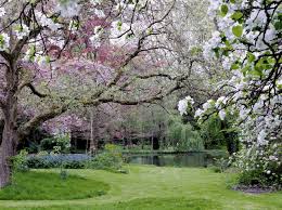 Decoration De Jardin Elle Decoration Beautiful Gardens Garden Inspiration Garden Design