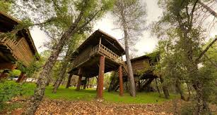 Encuentra la mejor oferta inmobiliaria de lotes via principal arboles. 12 Cabanas En Los Arboles Top A Dormir En Un Arbol