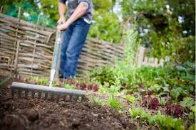 Want to make sure your garden soil is healthy, nutritious, and ready for the growing season? How To Rejuvenate An Old Raised Bed Garden Flourishing Plants