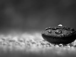 Black And White Computer Background Black White Photography Google Suche Macro Photography Wallpaper Photography Wallpaper Coffee Photography