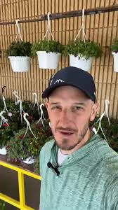 Market In The Square