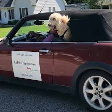 We offer a wide variety of services so that we can meet the needs of every pet. Faithful Companion Pet Care Services Pet Sitter