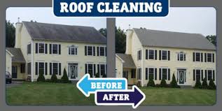 See more ideas about lyon homes, south lyon, home. Soft Wash Roof Cleaning Power Washing Pros Ann Arbor Mi