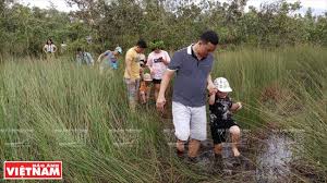 Thời gian và địa điểm hội thi dự kiến diễn ra vào hai ngày là ngày 19 và 20 tháng 10 năm 2019 tại khu du lịch đại nam. Rá»«ng Tram Hoa Vang Rá»±c Rá»¡ Bao áº£nh Viá»‡t Nam