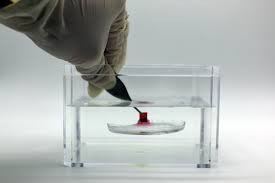 Mila malenkov onlyfans leaks even if she is good looking,