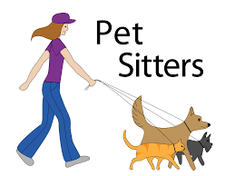 Pin On I M A Dog Walker