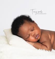 Newborn Photography Newborn Photoshoot Newborn Photography Baby Photoshoot