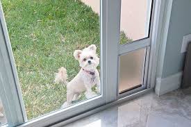 Maxseal model for installation in glass doors. Pet Doors Glass Shop In Olympia Wa D K Boos Glass