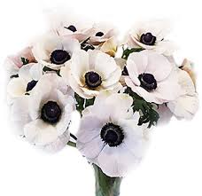 Some anemone varieties feature double flowers, similar to a frilly, oversized mum. Anemone Flower Choose Own Flower Colors White Anemone Bulk Flowers