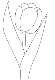 Pin Von Bettina Kainz Auf Fruhlingsblumen In 2020 Blumenzeichnung Malvorlagen Blumen Blumenschablonen