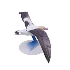 Chara papercraft deviantart robinthebard 20 4 undertale main character papercraft robinthebard 27 7 niko (from oneshot) papercraft pattern robinthebard 17 8 panzer v panther (german medium. Albatros Vogel Folding Schneiden Mini Nette 3d Papier Modell Papercraft Tier Figur Diy Kinder Erwachsene Handgemachte Handwerk Spielzeug Qd 112 Card Model Building Sets Aliexpress