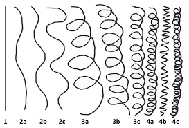 Look At The Hair Type Chart Type 4c Is Also A Coil Its