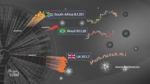 Coronavirus Hunting For Variants And The Case For Travel Restrictions National Globalnews Ca