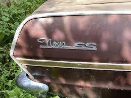 Image result for Adobe Beige 1963 Nova