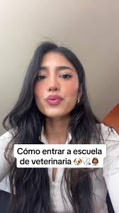 Hola! Aqui les dejo un resumen corto del proceso para ser veterinaria/o en  Estados Unidos 🐶🩺💗 how to get to vet school #veterinaria #vetstudent