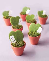 Si le querés agregar un toque de decoración, podés sumar sobre la tierra o en la base de la maceta piedras para cactus. Regalos De Boda Originales Que Sorprenderan A Tus Invitados