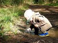 Wildlife Wonders: Wonderfully Wild (Ages 2y-5y)