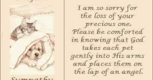 I Am So Sorry For The Loss Of Your Precious One Please Be Comforted In Knowing That God Takes Each Pet Gentl Pet Sympathy Quotes Dog Sympathy Sympathy Quotes