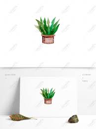 Most cacti shapes are pretty simple and almost impossible to mess up. Ink Plant Watercolor Potted Flowerpot Fleshy Flower Cactus Psd Images Free Download 1369 1024 Px Lovepik Id 732246226