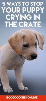 5 Ways To Stop Your Puppy From Crying In Crate Good Doggies Online Puppy Training Potty Training Puppy Training Your Puppy