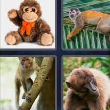 4 Fotos 1 Palabra Chimpance Peluche 4 Fotos 1 Palabra Fotos Chimpance
