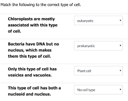 Maybe you would like to learn more about one of these? Match The Following To The Correct Type Of Cell Chegg Com