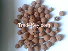 Check spelling or type a new query. Expanded Clay Hydroton Clay Pebbles As Grow Media For Hydropincs Horticulture By Shijiazhuang Ningshu Trading Co Ltd China