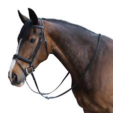 Filet Renes Equitation Cheval Et Poney Edimburgh Equipement Cheval Cheval Filet Cheval
