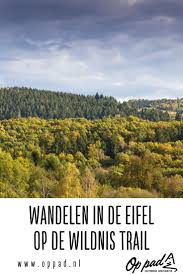 Wildnis Trail In De Eifel Wandelen Duitsland Oppad Nl In 2020 Wandelen Wandelroute Wandeltips