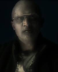 Vincent sunglasses wiki new arrivals