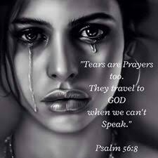 Jane Trujillo (janetrujillo194)