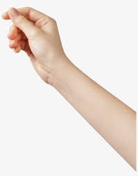 Png Hand Holding Hands Hand Holding Card Holding Hands