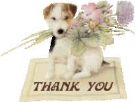 Rudy valentino photo + cinema. Thank You Flowers Gifs Tenor