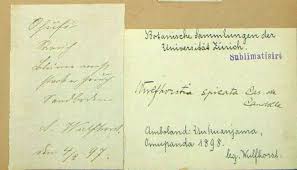 Image result for Baissea wulfhorstii