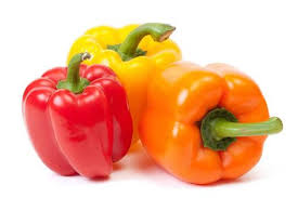 Image result for Capsicum frutescens